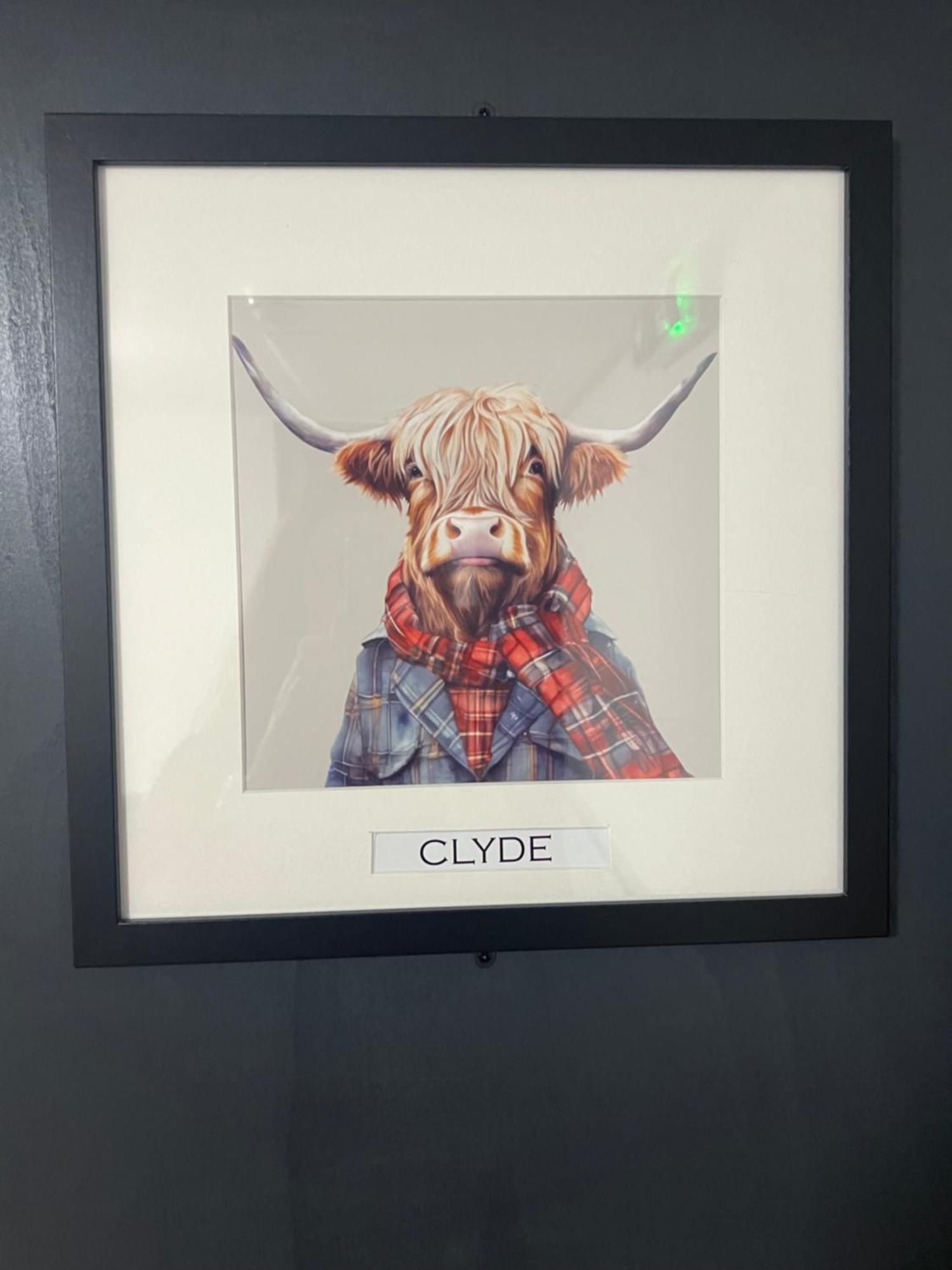 אוצ'טרארדר 'Clyde' In Allandale Aparthotel מראה חיצוני תמונה